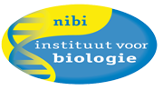 NL NIBI