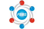 febslogo