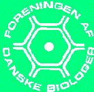 nylogo138